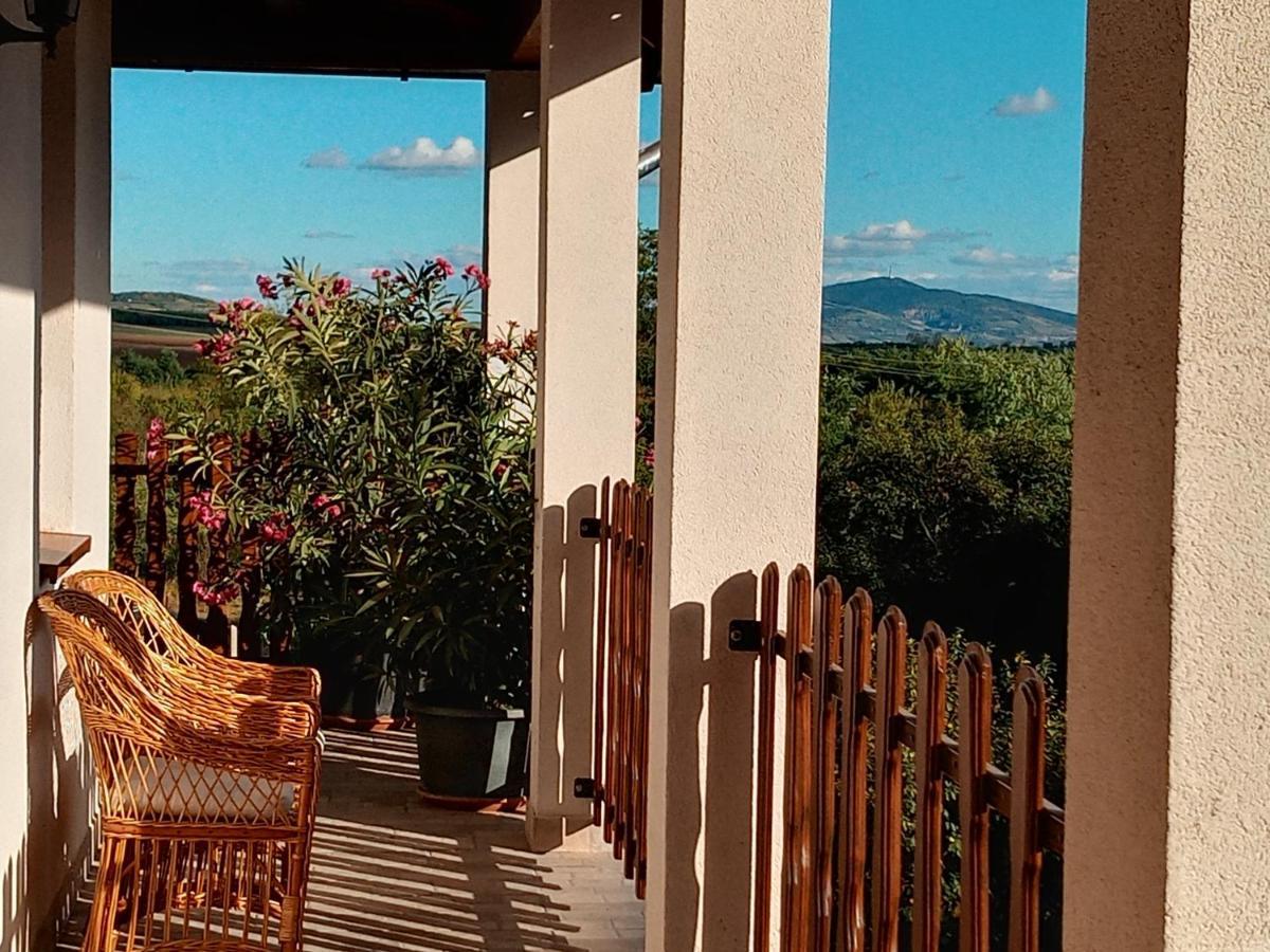 Tokaj Hill Panorama Guesthouse Серенч Екстериор снимка
