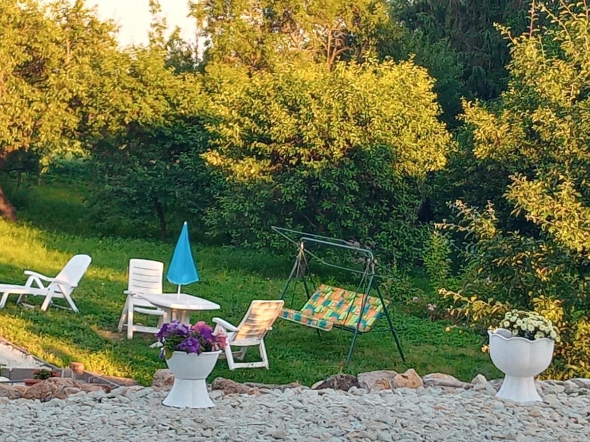 Tokaj Hill Panorama Guesthouse Серенч Екстериор снимка