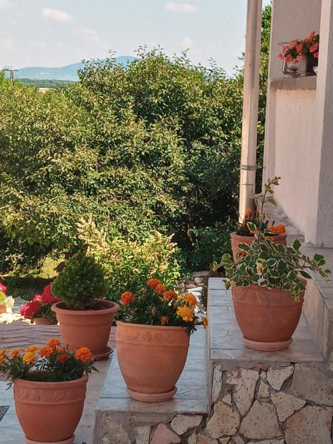 Tokaj Hill Panorama Guesthouse Серенч Екстериор снимка