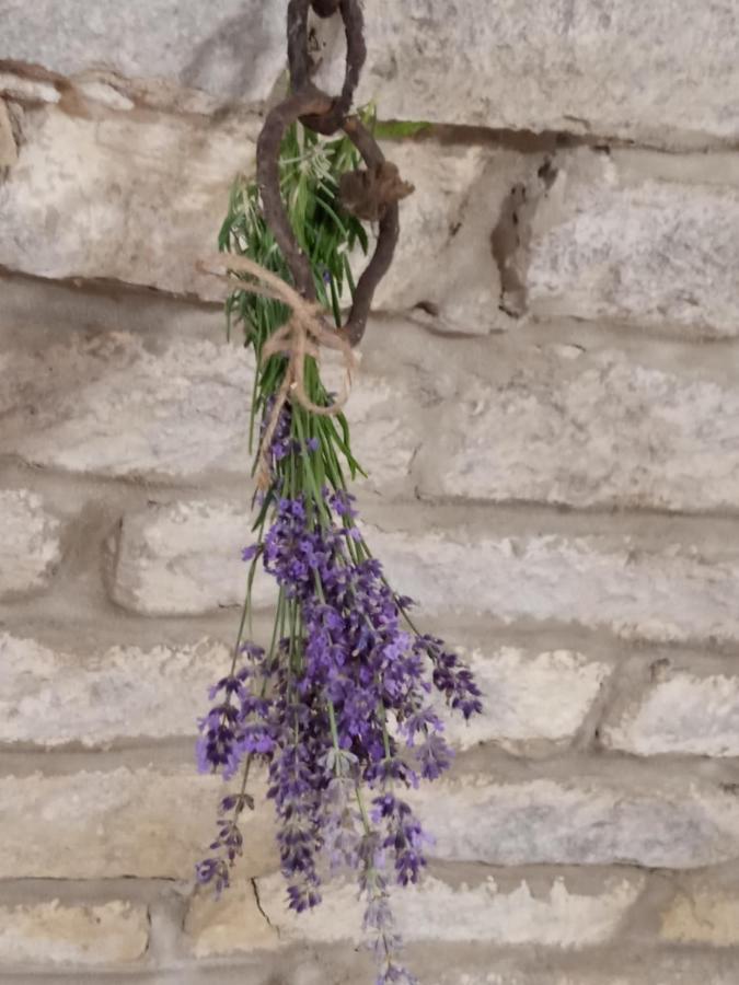 Tokaj Hill Panorama Guesthouse Серенч Екстериор снимка