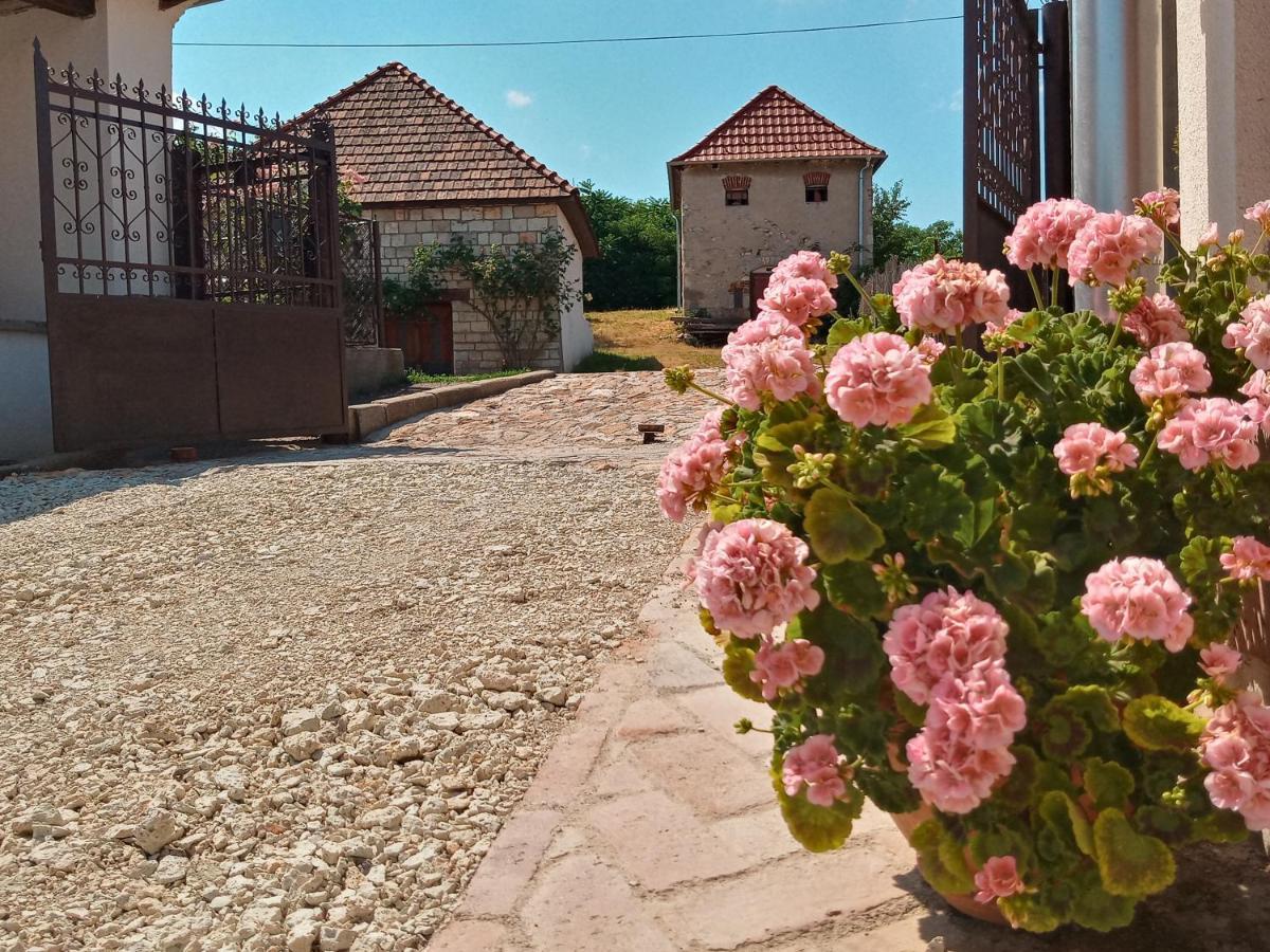 Tokaj Hill Panorama Guesthouse Серенч Екстериор снимка