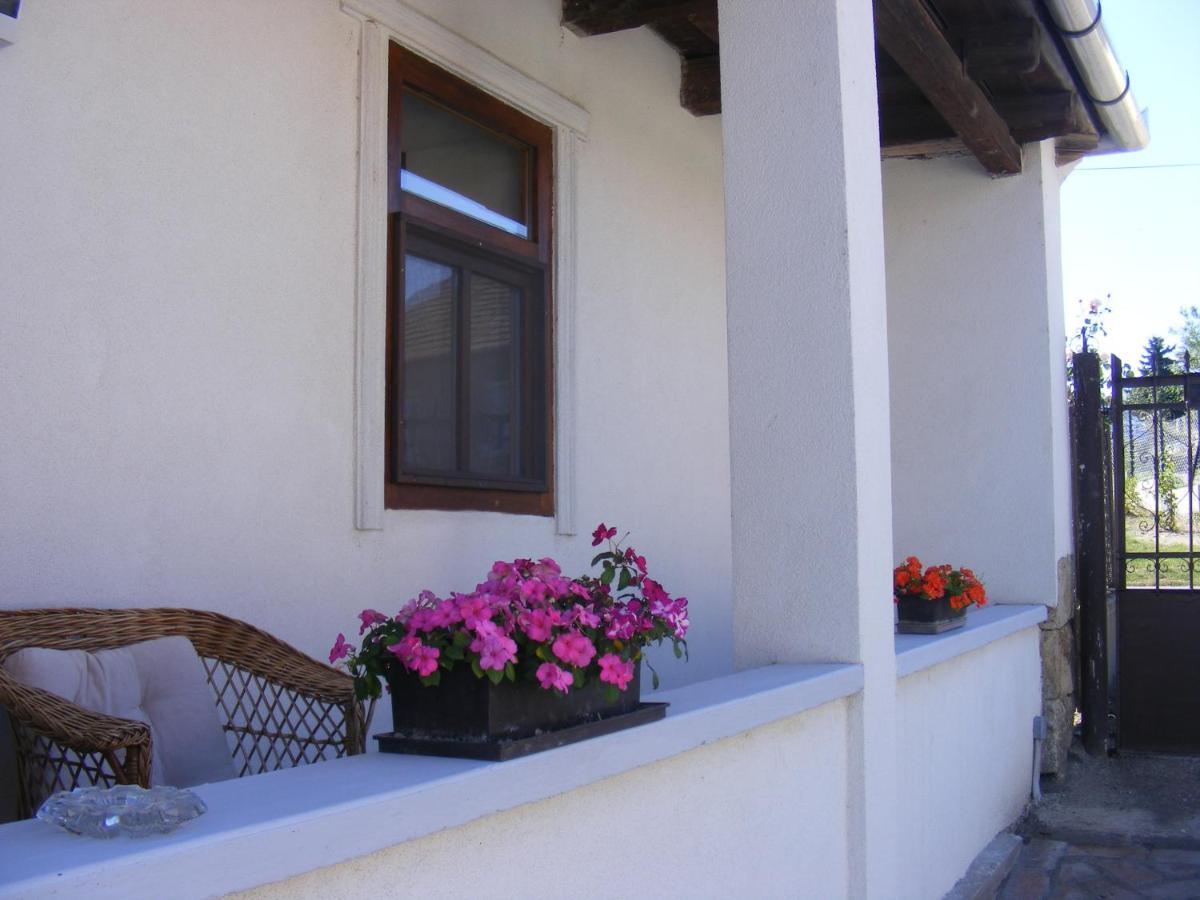 Tokaj Hill Panorama Guesthouse Серенч Екстериор снимка