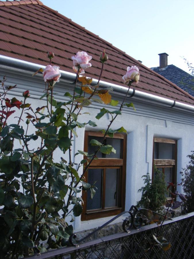 Tokaj Hill Panorama Guesthouse Серенч Екстериор снимка
