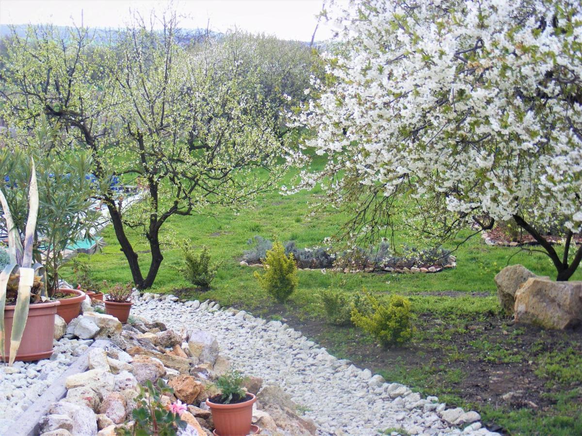 Tokaj Hill Panorama Guesthouse Серенч Екстериор снимка
