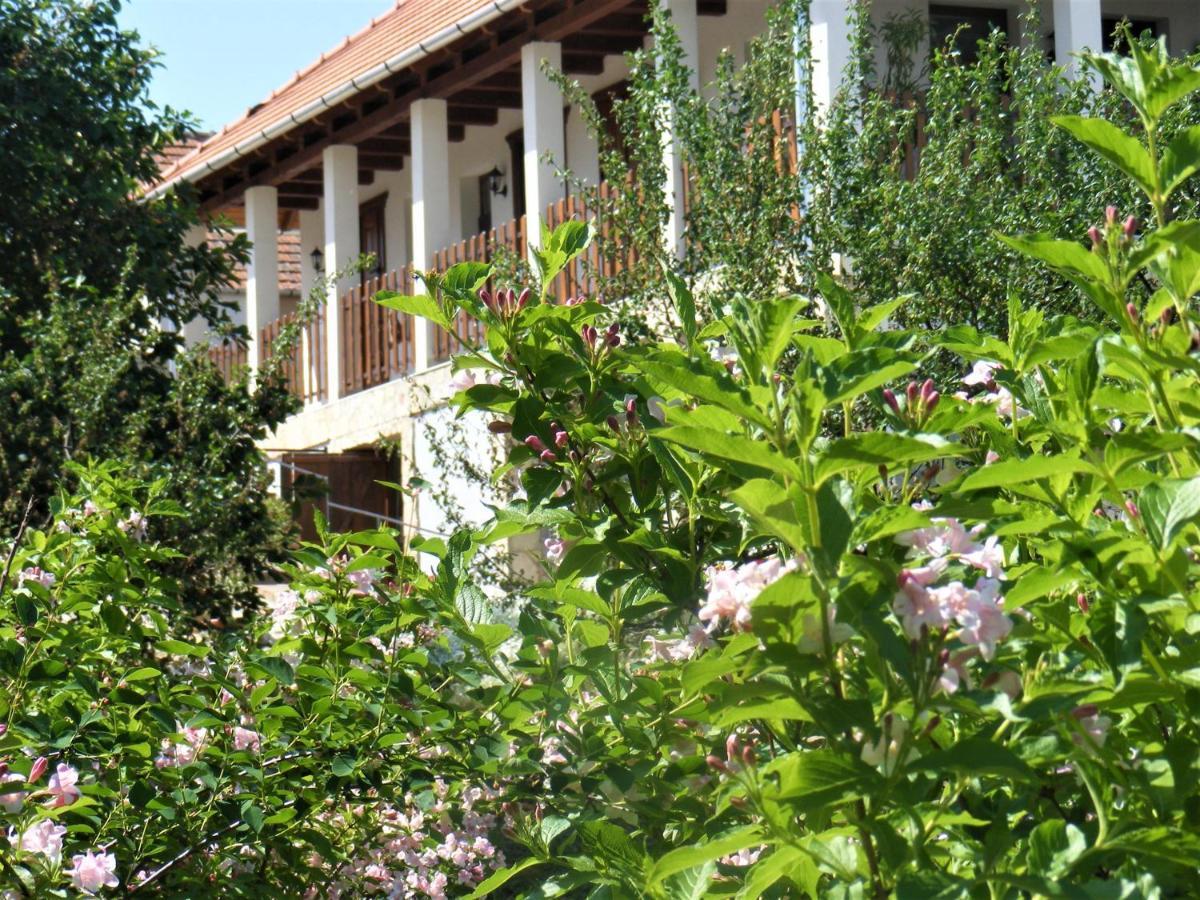 Tokaj Hill Panorama Guesthouse Серенч Екстериор снимка