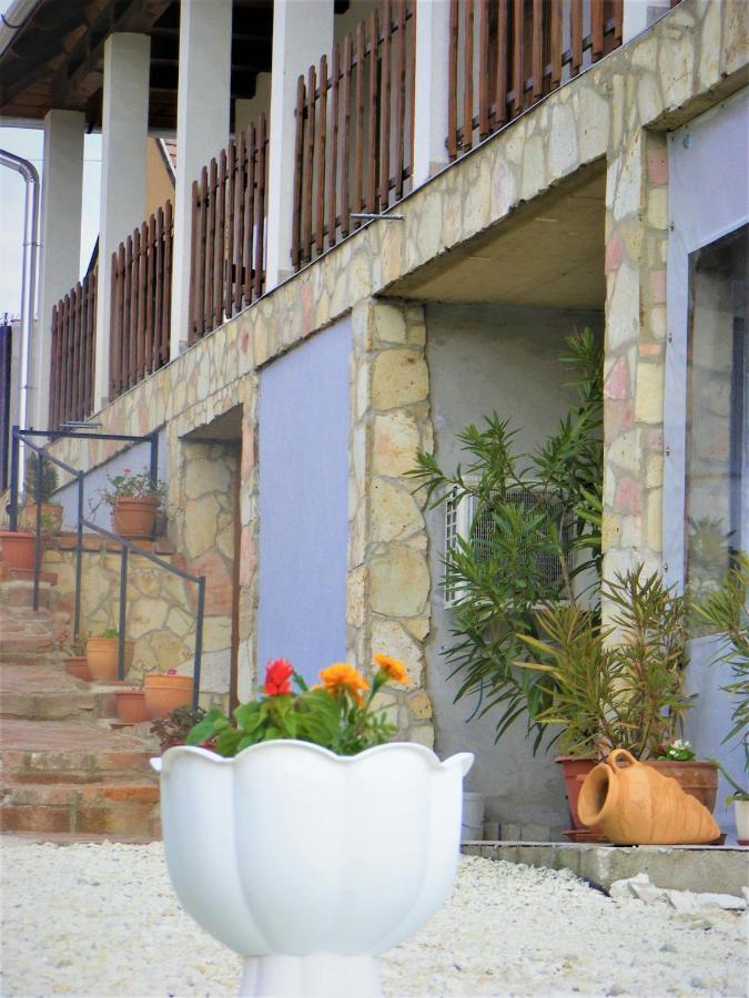 Tokaj Hill Panorama Guesthouse Серенч Екстериор снимка