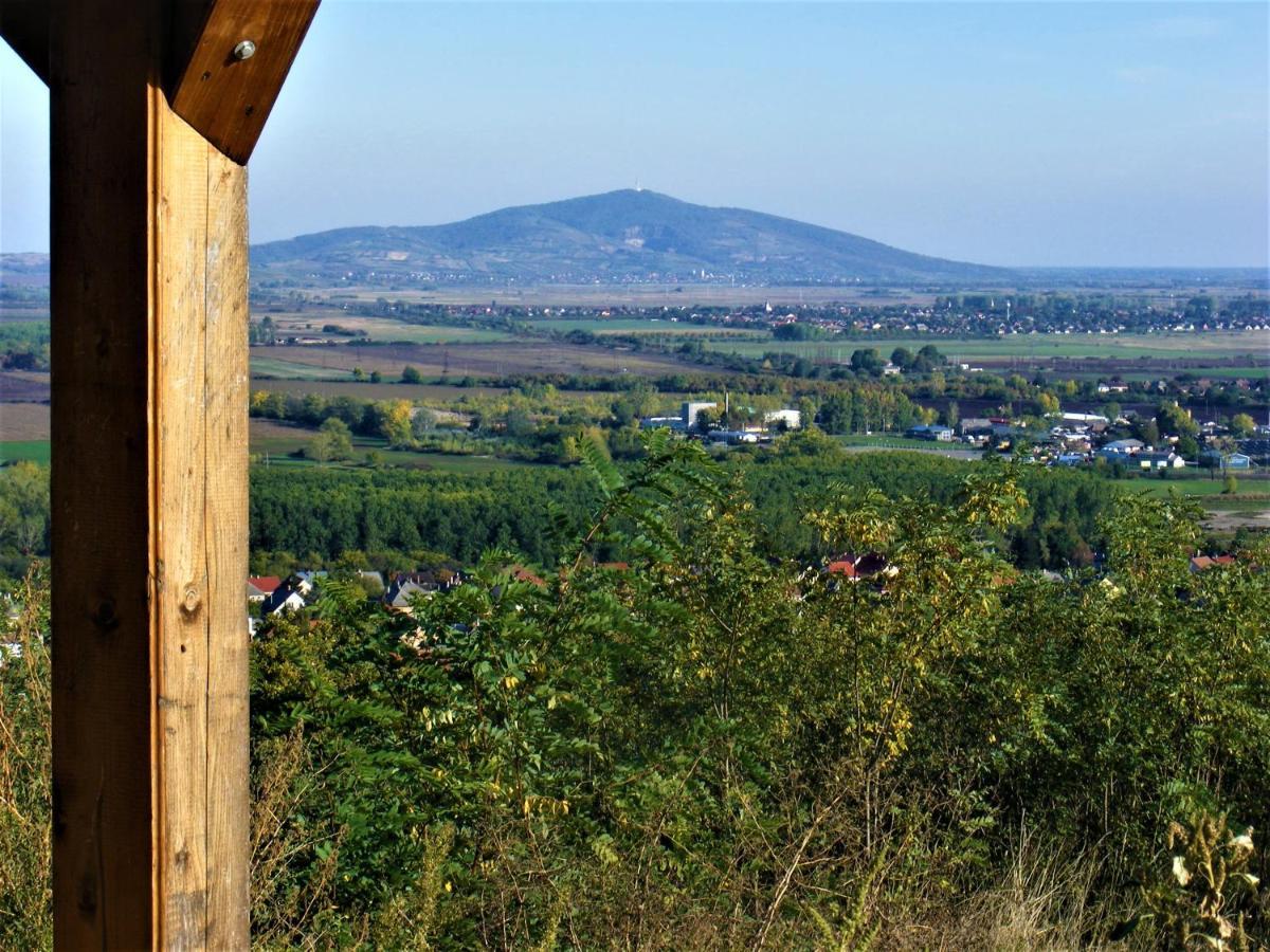 Tokaj Hill Panorama Guesthouse Серенч Екстериор снимка