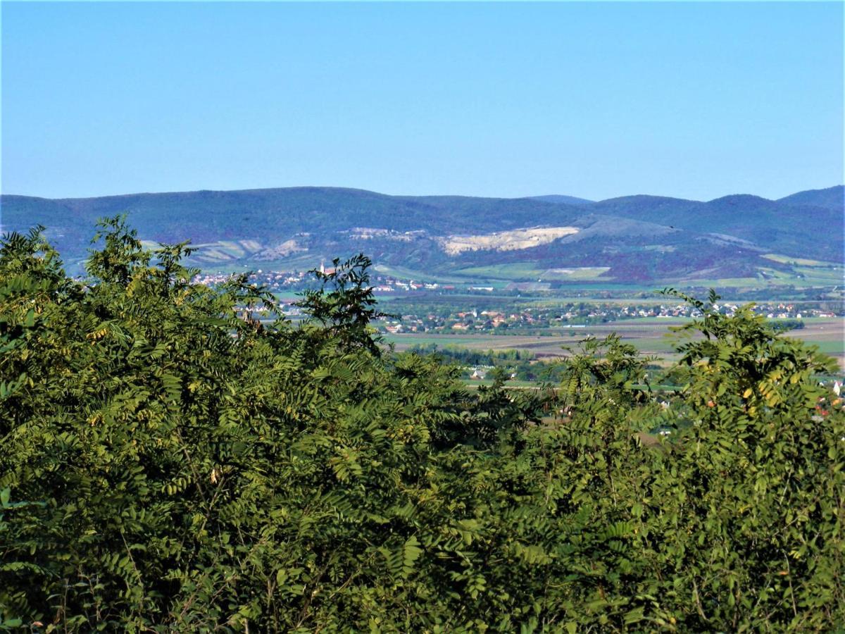 Tokaj Hill Panorama Guesthouse Серенч Екстериор снимка