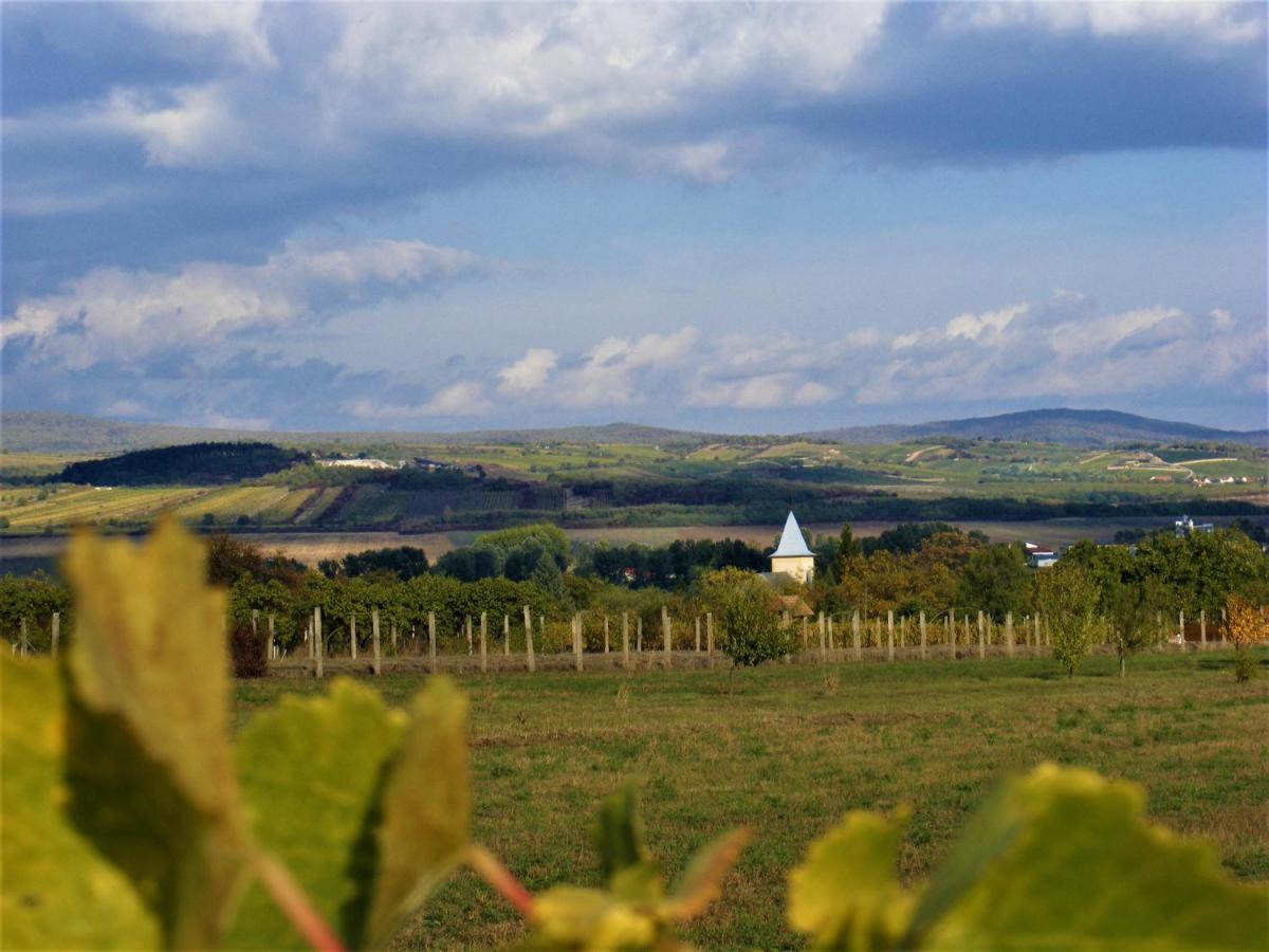 Tokaj Hill Panorama Guesthouse Серенч Екстериор снимка