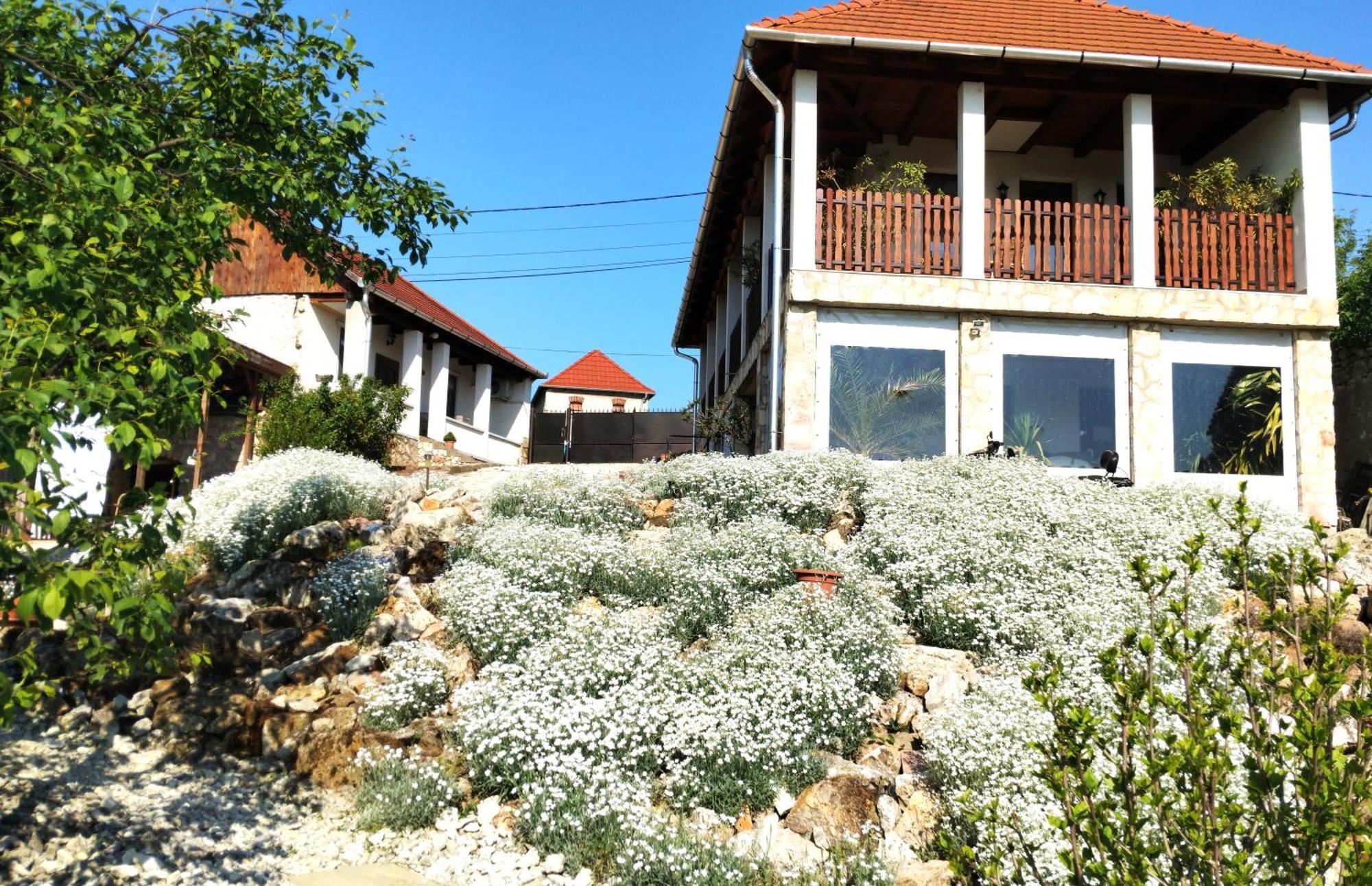 Tokaj Hill Panorama Guesthouse Серенч Екстериор снимка